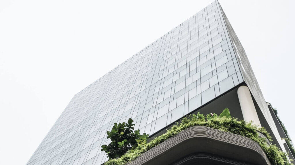 La sostenibilidad como palanca de valor en la empresa agroalimentaria